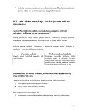 Turinio valdymo sistemos taikymas UAB “Elektroninių idėjų studija” įmonės verslo procesuose 13 puslapis