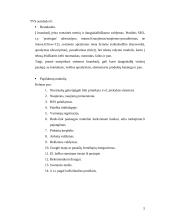 Turinio valdymo sistemos taikymas UAB “Elektroninių idėjų studija” įmonės verslo procesuose 4 puslapis