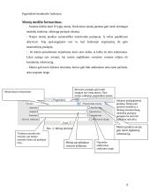 Turinio valdymo sistemos taikymas UAB “Elektroninių idėjų studija” įmonės verslo procesuose 7 puslapis