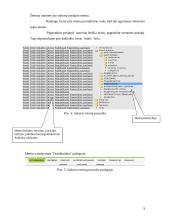Turinio valdymo sistemos taikymas UAB “Elektroninių idėjų studija” įmonės verslo procesuose 8 puslapis