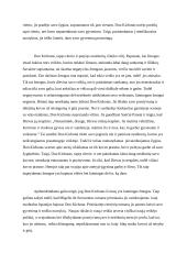 Ar Don Kichotas – laimingas žmogus? 2 puslapis