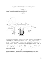 Oro klampos koeficiento ir molekulių laisvojo kelio išmatavimas 2 puslapis