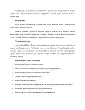 Verslo profesinės veiklos praktikos ataskaita 13 puslapis
