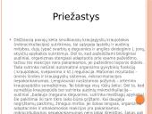 Šoko požymiai ir pirmoji pagalba 5 puslapis