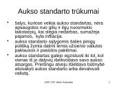 Valiutų rinka, jos sąvokos 11 puslapis