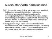 Valiutų rinka, jos sąvokos 12 puslapis