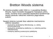 Valiutų rinka, jos sąvokos 13 puslapis