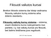 Valiutų rinka, jos sąvokos 14 puslapis