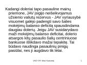 Valiutų rinka, jos sąvokos 17 puslapis