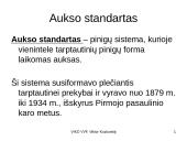 Valiutų rinka, jos sąvokos 8 puslapis