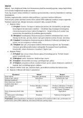 Ląstelių gyvenimo ciklas. Dalijimasis 2 puslapis