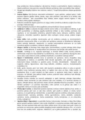 Slaugos proceso etapai 2 puslapis