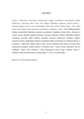 Islamo religijos paplitimas pasaulyje 3 puslapis