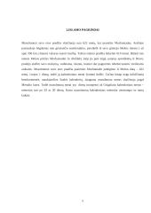 Islamo religijos paplitimas pasaulyje 4 puslapis