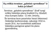 Holokausto tragedija (skaidrės) 17 puslapis