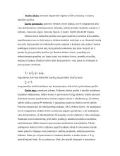 Pernašos skaičių nustatymas 2 puslapis