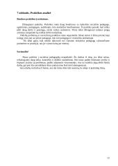 Socialinės pedagogikos praktikos ataskaita 11 puslapis