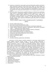 Socialinės pedagogikos praktikos ataskaita 8 puslapis