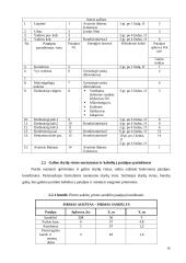 Logistikos įmonės vidaus ir lauko elektros tinklų projektas 15 puslapis