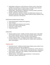 Stresas priežastys ir būdai jį įveikti 2 puslapis