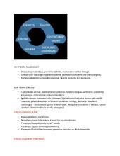 Stresas priežastys ir būdai jį įveikti 4 puslapis