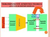 Atmintis, psichologijos skaidrės 4 puslapis