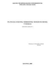Plonasluoksnių hibridinių mikroschemų tyrimas
