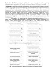 Plonasluoksnių hibridinių mikroschemų tyrimas 2 puslapis