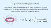 Magnetiniai nuostoliai ir jų atsiradimo mechanizmai 4 puslapis