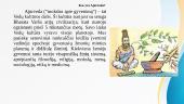  Mokslo požiūris į rytų mitybos teorijas. Ligų priežastys ir klasifikacija pagal ajurverdą 5 puslapis