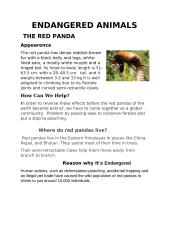 Endangered animals: the red panda 1 puslapis