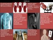 Transplantacija, ar reikėtų legalizuoti prekybą organais? 18 puslapis