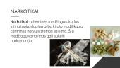 Narkotikai ir haliucogenai 2 puslapis