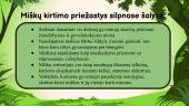 Miškai pasaulio turtas  10 puslapis