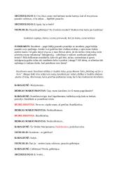 Šimtadienio renginio scenarijus 6 puslapis