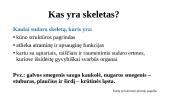 Kaulų sandara 5 puslapis
