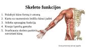 Kaulų sandara 6 puslapis