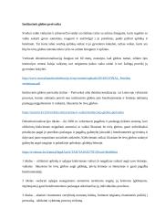 Institucinės globos pertvarka