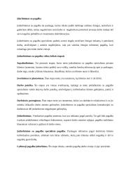 Institucinės globos pertvarka 5 puslapis