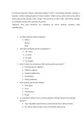 Rinkodaros savarankiškas darbas 16 puslapis