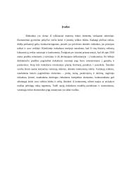 Rinkodaros savarankiškas darbas 2 puslapis