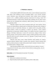 Rinkodaros savarankiškas darbas 3 puslapis