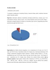 Rinkodaros savarankiškas darbas 8 puslapis