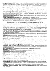 Augalų fiziologija ir biotechnologija 8 puslapis