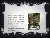 Vincas Mykolaitis-Putinas. Skaidrės 15 puslapis