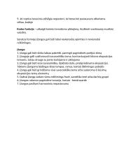 Sonatos formos analizavimo konspektas 4 puslapis