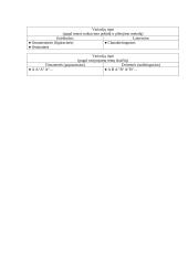 Variacijų forma 2 puslapis