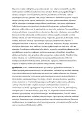 Lietuvos ir Estijos valstybės tarnybos sistemų lyginamoji analizė 12 puslapis