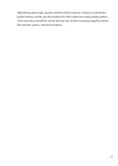 Lietuvos ir Estijos valstybės tarnybos sistemų lyginamoji analizė 13 puslapis