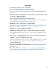 Lietuvos ir Estijos valstybės tarnybos sistemų lyginamoji analizė 15 puslapis